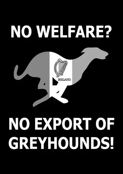 19260353 356133331471264 1407897663356941058 n