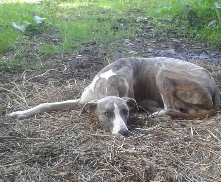 1926191 10203784371681128 2988028217080180199 o