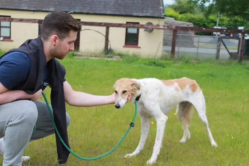 19263826 1349024161848175 352666032 o