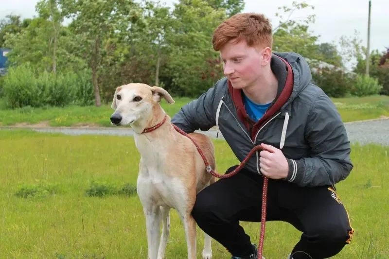 19264118 1349370731813518 1850652793 o