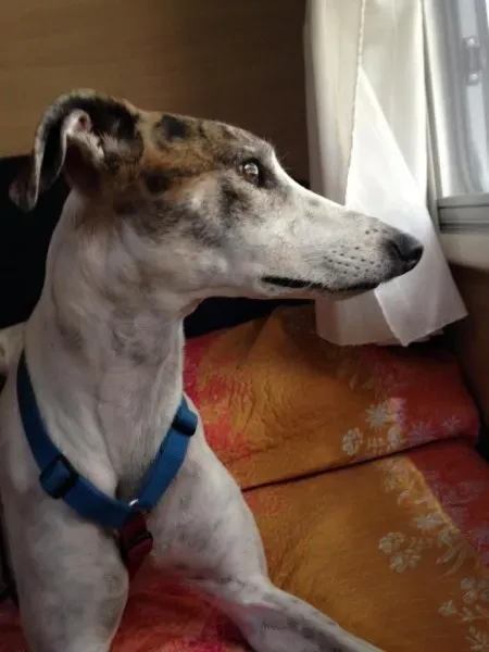 1930103 10205767206401372 390576686485039327 n