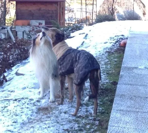 1932343 1517981371792034 8589520120304958819 n1