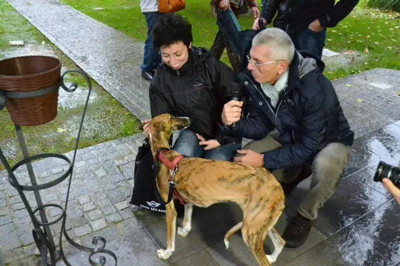 1932394 730086833741841 58790511355486366 n