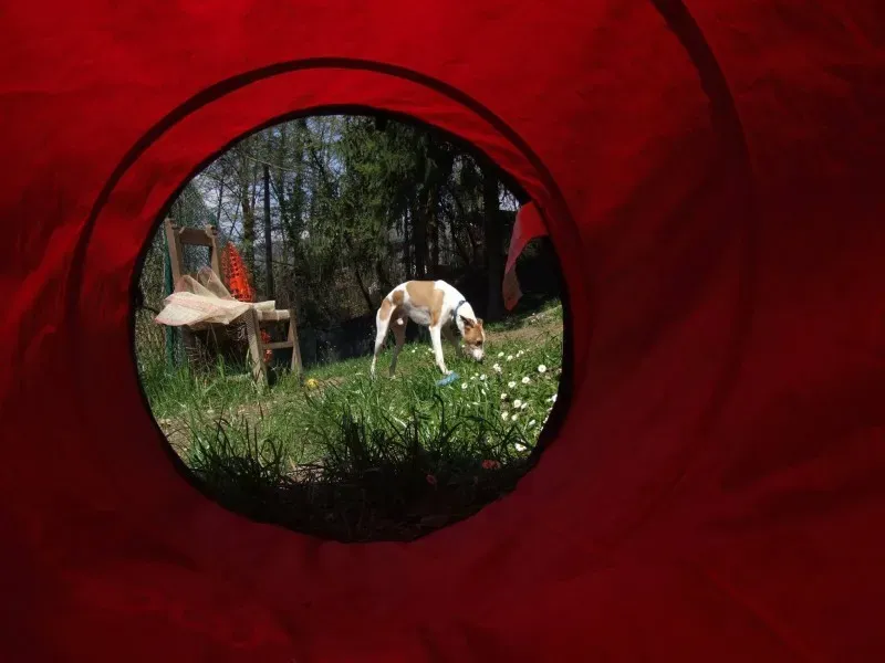 1932695 10202835631043177 1978141637 o