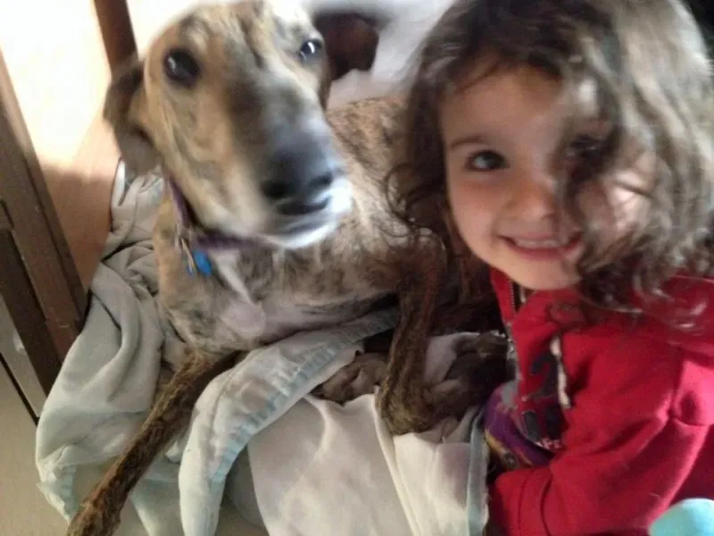 1933895 1532465427053894 4584205807875008607 n