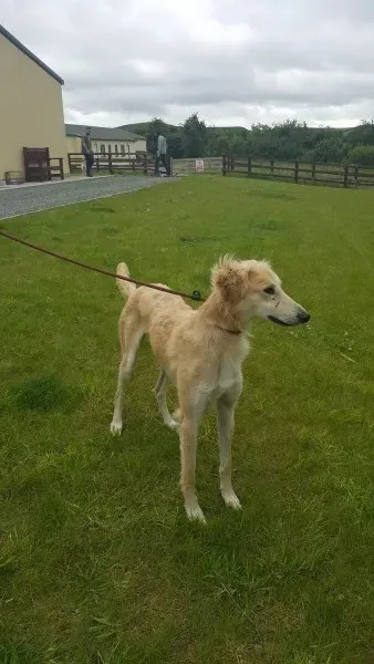 19340079 1350065961743995 2125596115 o