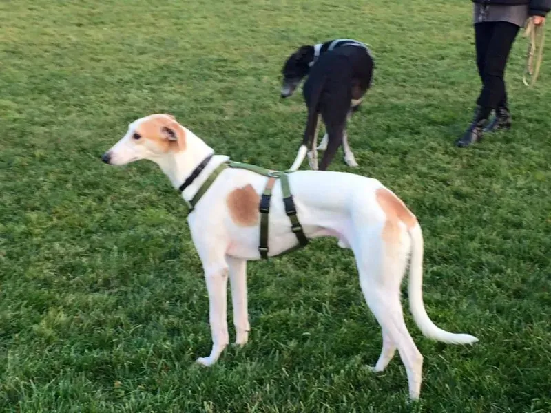 1934181 932673873483135 2602234003662270175 n