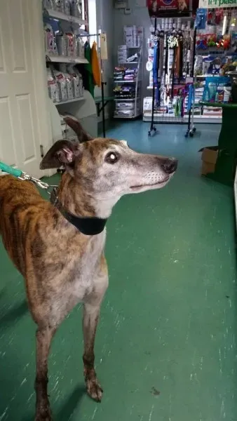 1934390 982592478491274 6515431153228928281 n