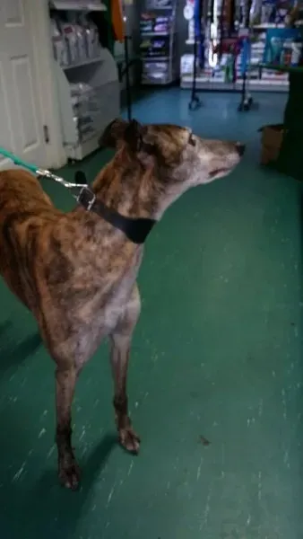 1934578 982592435157945 3505412840486360898 n