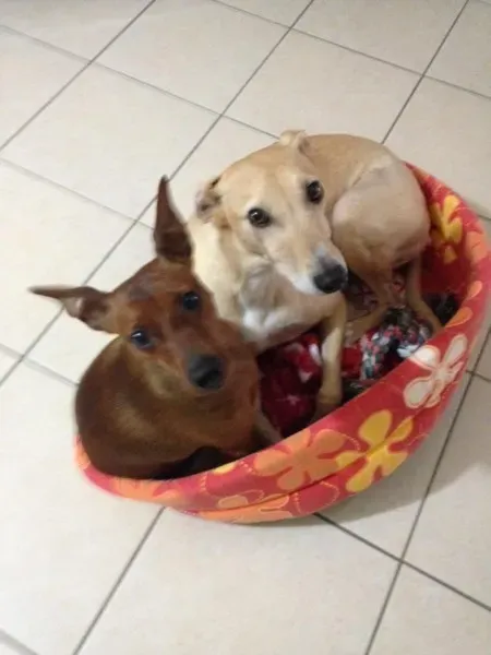 1934752 10205767158880184 9023769437048483849 n