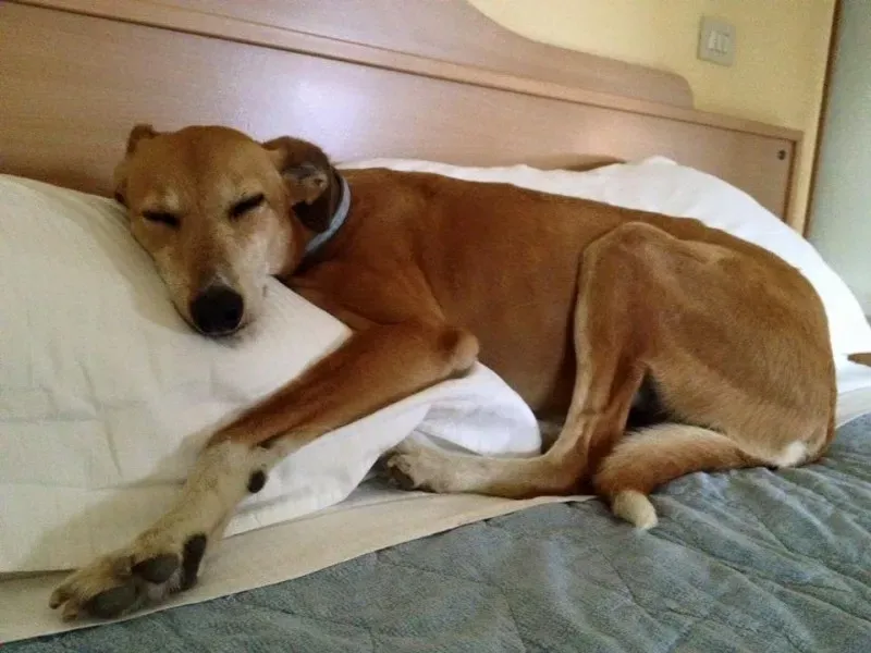 1934761 575319722639077 5838280094535266354 n