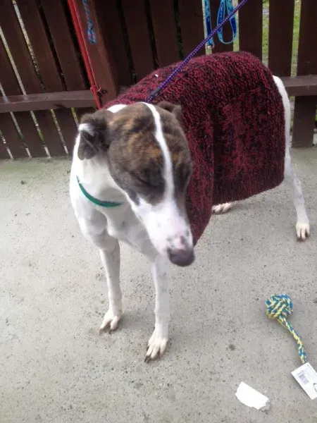 1935571 1135745483109816 5081343105732491765 n