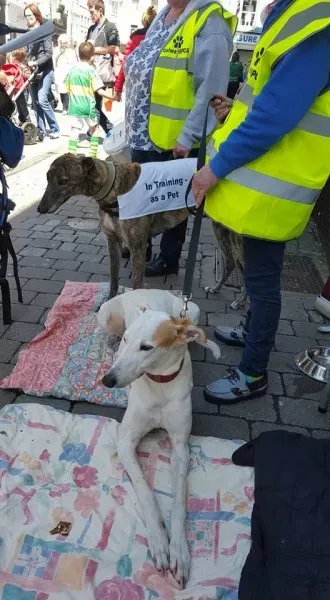 1936174 10208282030941990 8851297003480878842 n 1