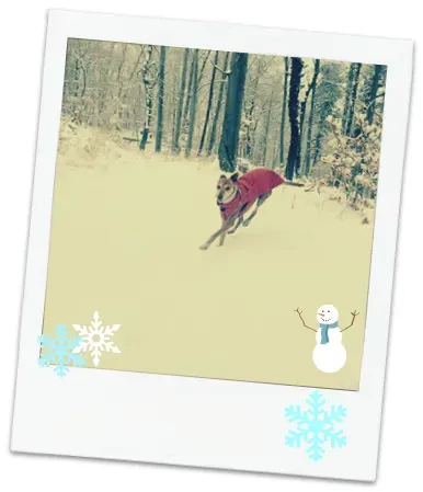 1936675 861272360683618 7301331236107930237 n