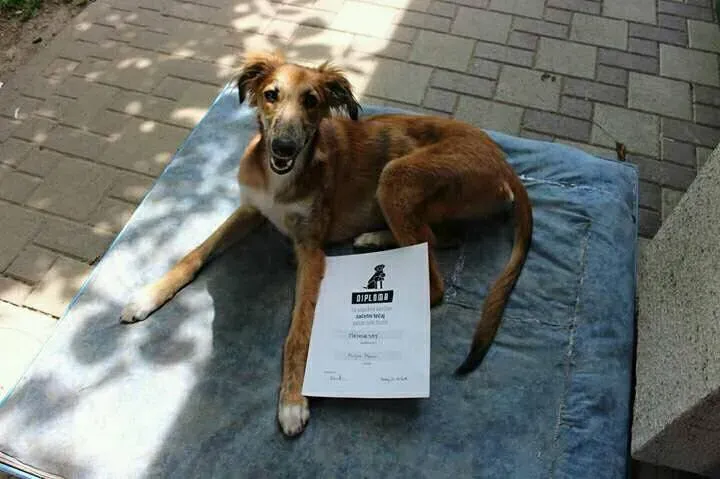 19396865 10213150259292639 1553062317780096834 n