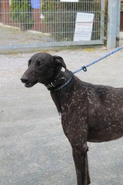 1939889 1014948768522822 593615786439534650 n