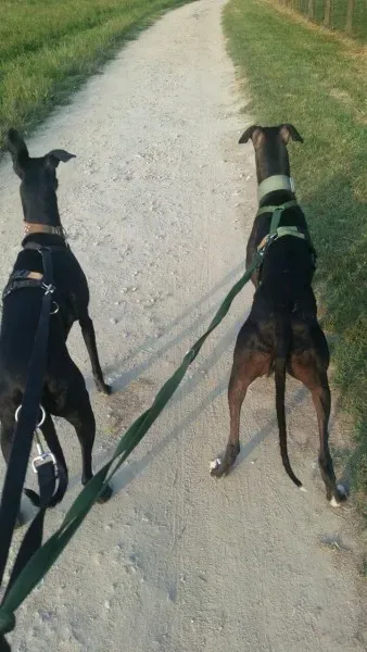 19401937 10213132987789584 6906056016787235322 o