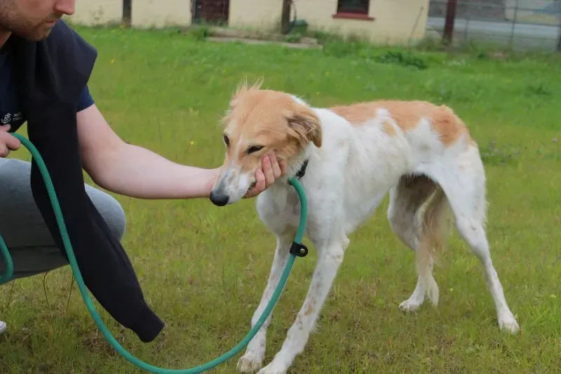 19402503 1349024731848118 2009189473 o