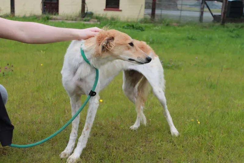 19402603 1349024778514780 1294104423 o