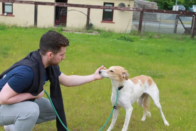 19402607 1349022841848307 1560400827 o