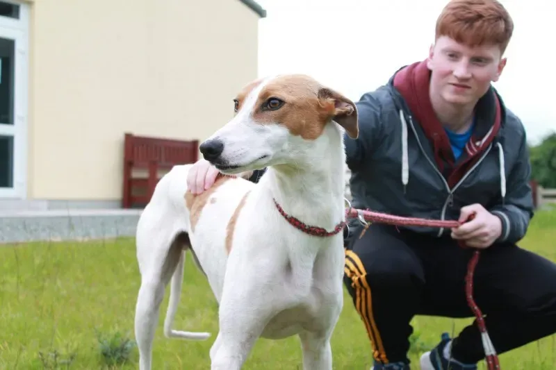 19402637 1349084598508798 778512401 o