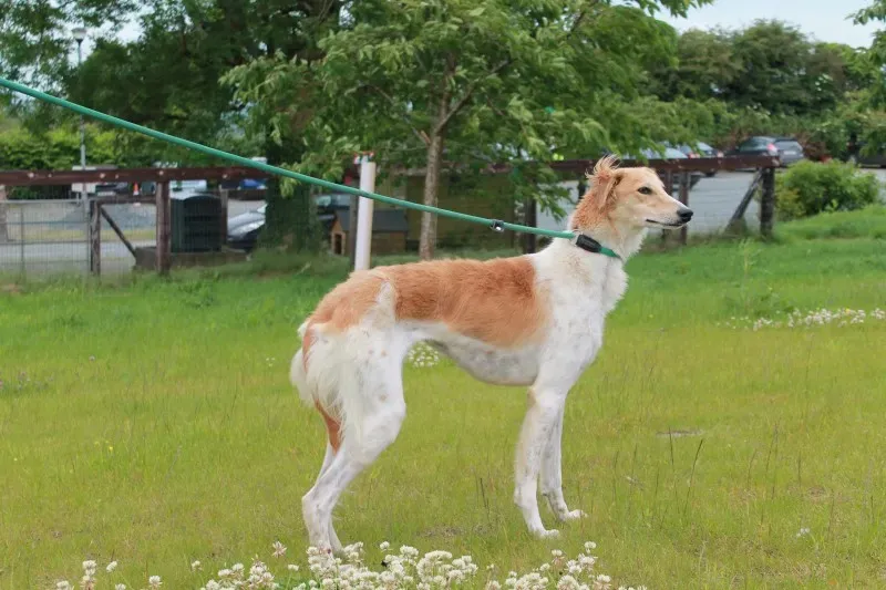 19402713 1349022005181724 521856837 o