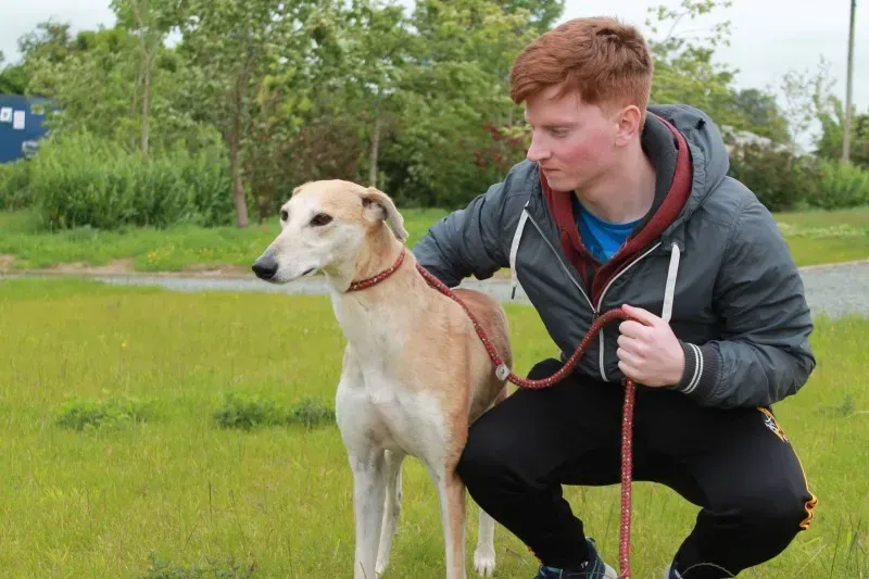 19402760 1349370735146851 1995402238 o