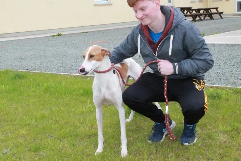 19403299 1349086791841912 1925299733 o