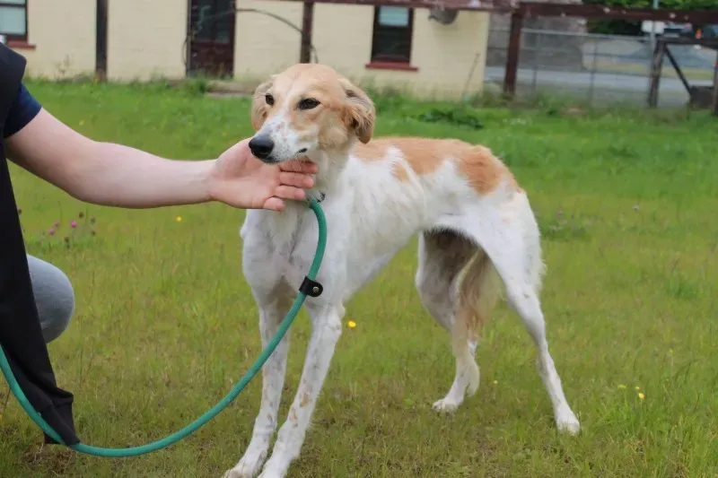 19403307 1349024758514782 879060375 o