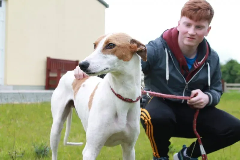 19403341 1349084558508802 512103361 o