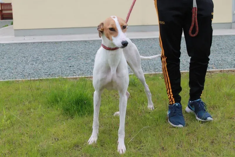 19403342 1349086688508589 404122915 o