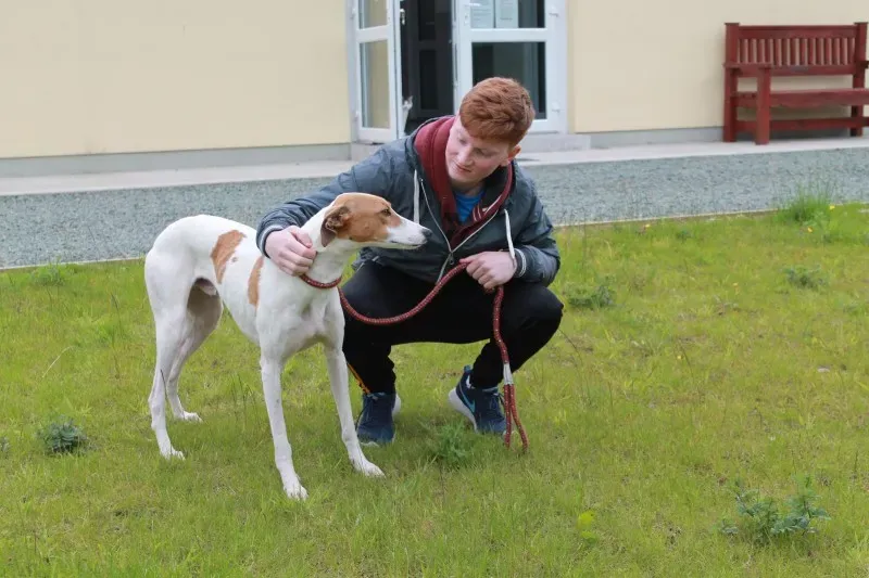 19403435 1349088365175088 1012400059 o