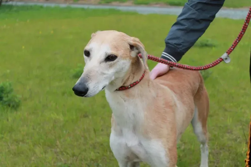 19403447 1349369105147014 1586918746 o