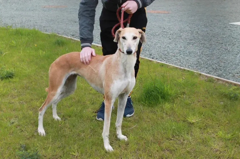 19403449 1349369608480297 1176717769 o