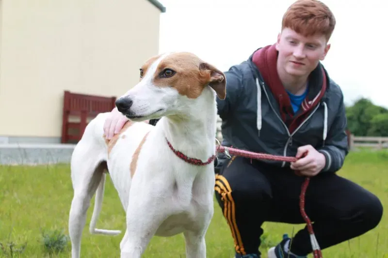 19403515 1349084581842133 1135356190 o