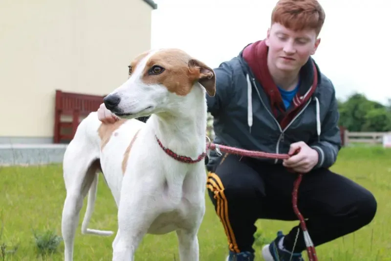 19403528 1349084571842134 1686408573 o