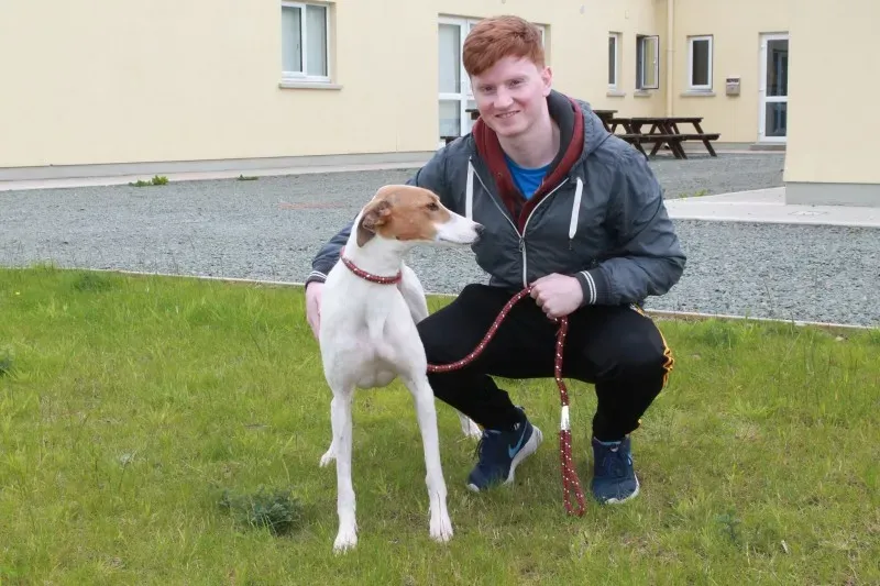 19403726 1349087728508485 2145744714 o