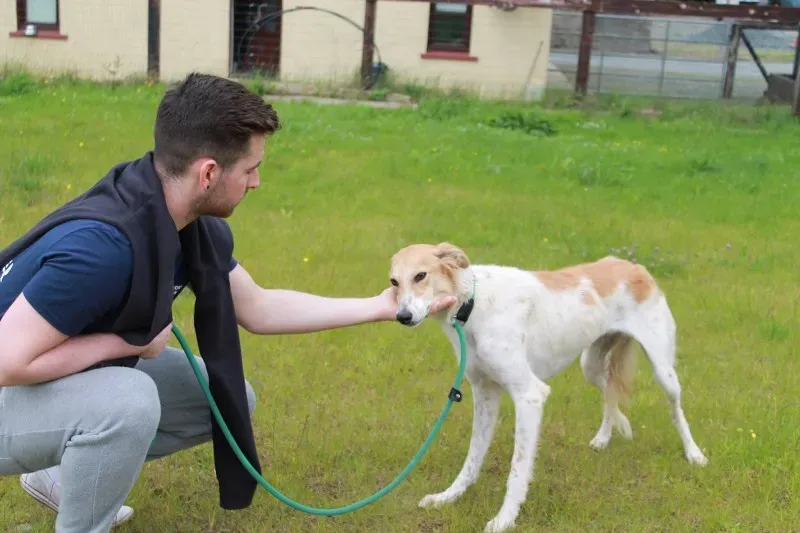 19403748 1349023371848254 370173826 o