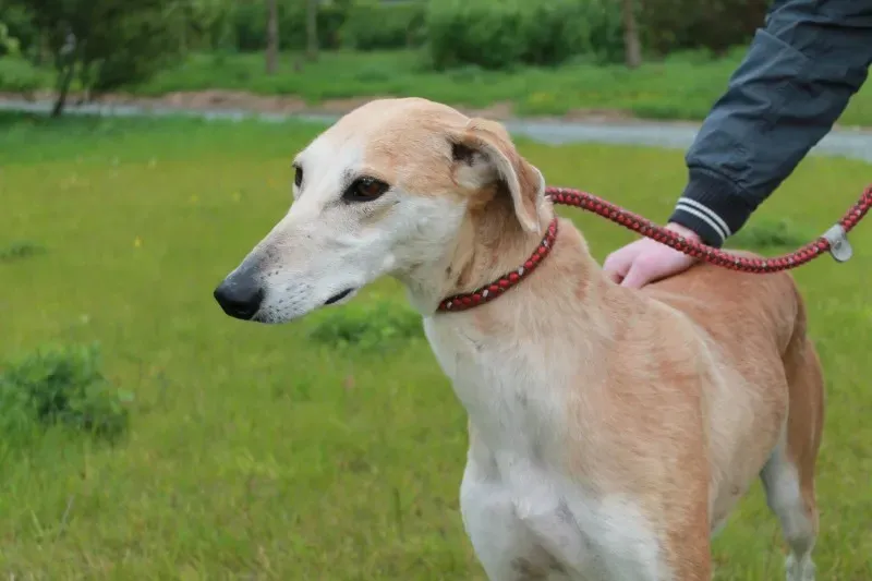 19403773 1349369405146984 734408607 o