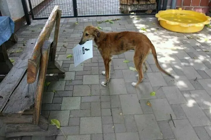 19424335 10213150259332640 4037521691857390235 n