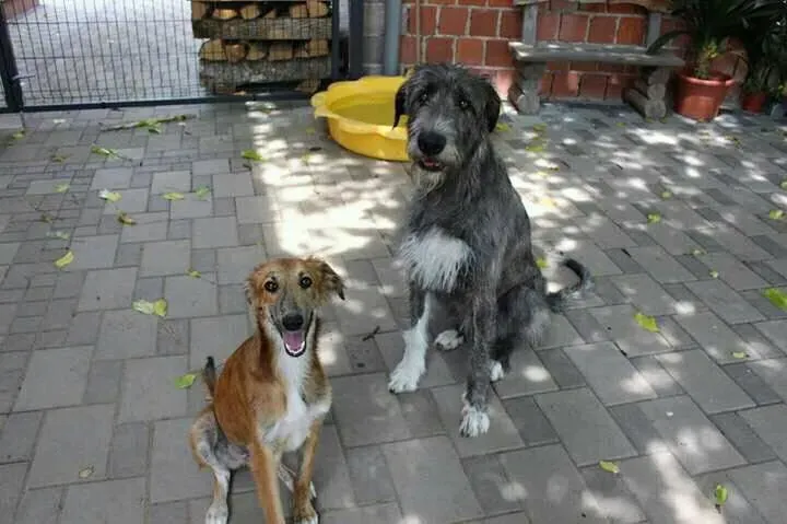 19429605 10213150259252638 3403614009171336142 n