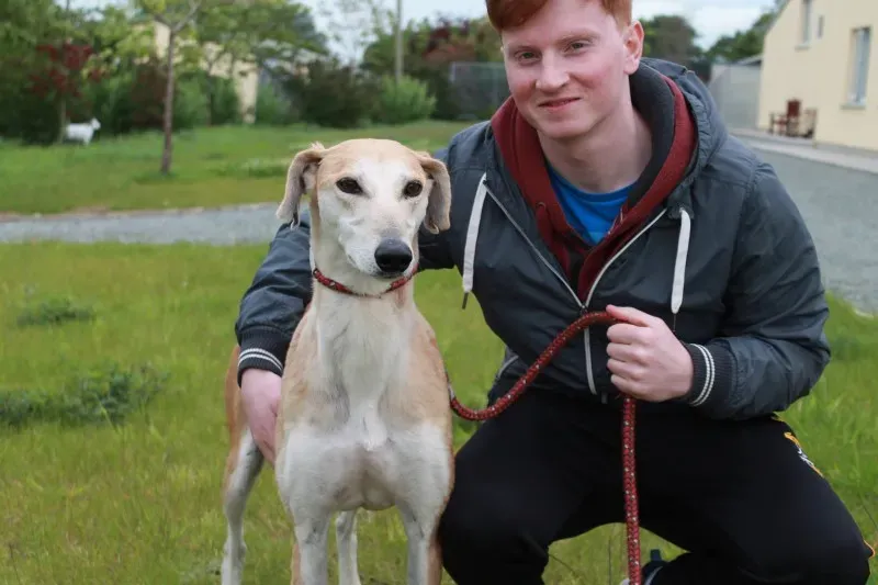 19449233 1349368291813762 1748904705 o