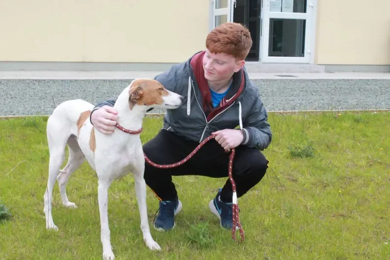 19449239 1349088385175086 348452304 o