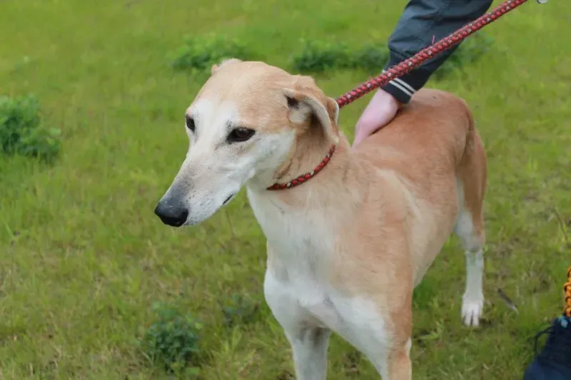 19449242 1349369185147006 2012363069 o