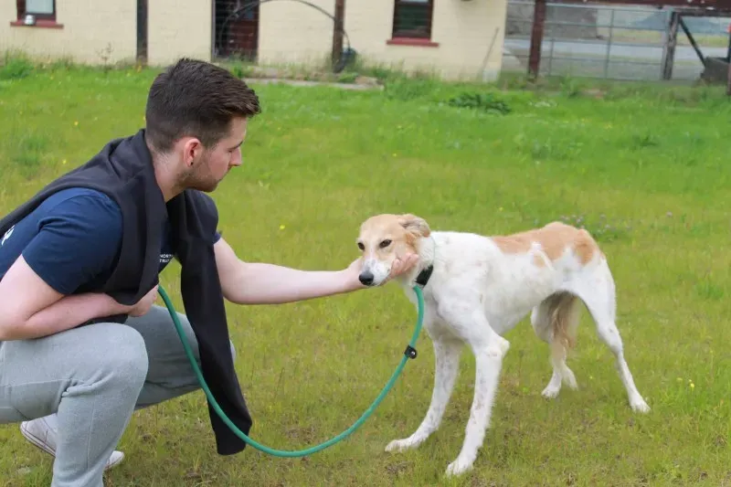 19449293 1349023811848210 1452225273 o