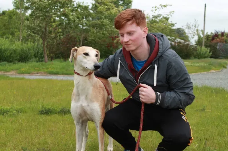 19449311 1349370698480188 262989814 o