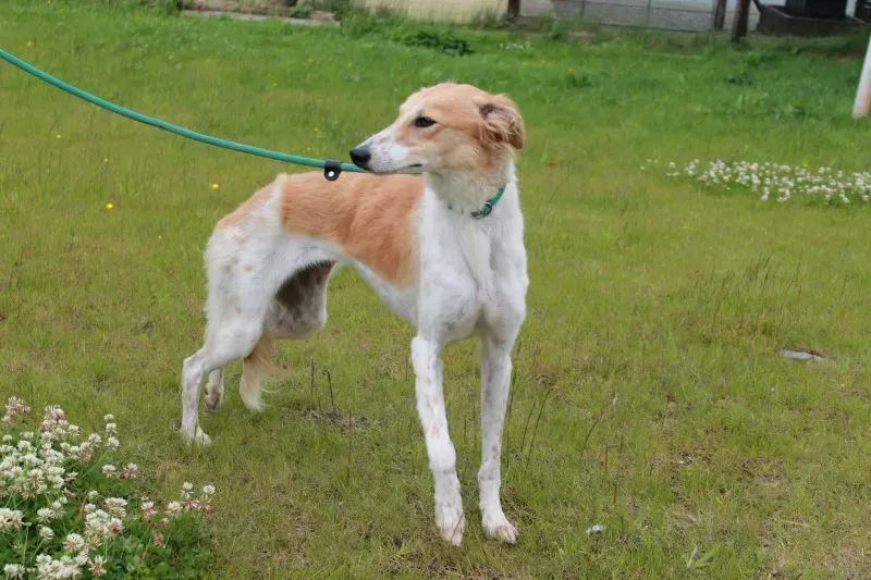 19449323 1349023218514936 1846264616 o