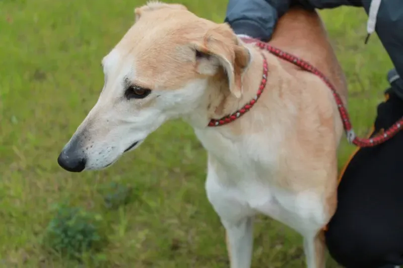 19449324 1349368268480431 357616079 o