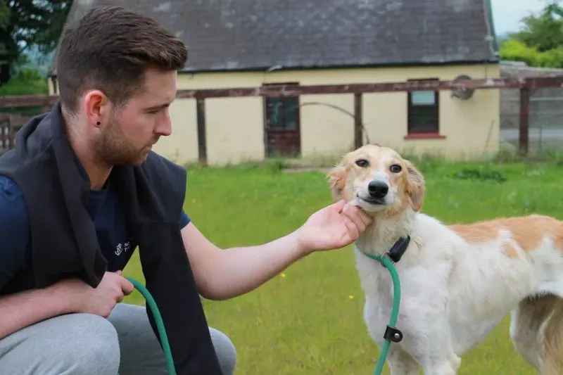 19449380 1349024698514788 1025183169 o