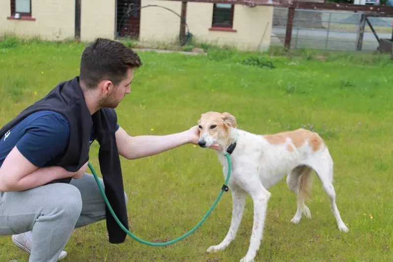 19449386 1349023315181593 233640023 o